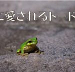 「4作目は大きな転換点」に該当するロックマン4。新たな試みの導入