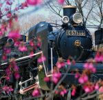 ストレス解消におでかけ! 東京都内の癒しスポット小金井公園