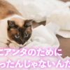 直虎47話「決戦は高天神」井伊家随一のツンデレは之の字でした
