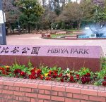 ビルの谷間の癒しスポット! 都会のオアシス日比谷公園