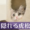 直虎17話。消されたライセンスじゃなくて種子島。「御身のためだ」は政次の想い