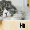 直虎9話。敗者から見た桶狭間。今川義元は報告の中でやられてたよ
