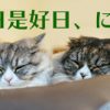 直虎10話。日々是好日は禅の言葉。名探偵直親も活躍しました