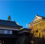 紅葉が見ごろな上田城におでかけ! 難攻不落の城で合格祈願も