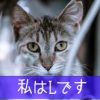 直虎28話「死の帳面」寿桂尼様のデスノートで井伊がヤバイ