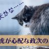 直虎26話「誰がために城はある」久々に早口になった政次と暴れる龍雲丸