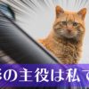 遊び心満載! 大河「おんな城主直虎」サブタイトルの元ネタ集