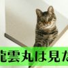 直虎23話「盗賊は二度仏を盗む」南渓和尚の策略と演技が光る回でした
