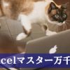 直虎43話「恩賞の彼方に」Excelマスター万千代の貢献