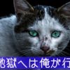 直虎31話「虎松の首」非常に徹した政次は「地獄へは俺が行く」と漏らす