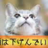直虎29話「女たちの挽歌」さらば寿桂尼! 強き女たちの戦国時代