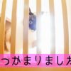 直虎19話。罪と罰、盗人を裁かないと割れ窓理論でモヒカンがヒャッハー!