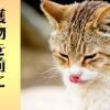 直虎25話「材木を抱いて飛べ」政次との信頼関係に(・∀・)ニヤニヤした回