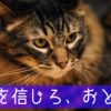 直虎30話「潰されざる者」政次の「俺を信じろ、おとわ」がかっこよすぎ