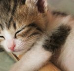 Try time management when you sleep