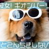西郷どん第27話「禁門の変」こんちきちんなヒー様と長州藩の長州力