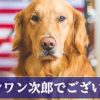 西郷どん第6話「謎の漂流者」ジョン万次郎登場! そして糸は……