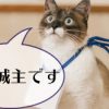 直虎13話。城主はつらいよ。自灯明な(直)とらさんが頑張る人情(に振り回される)話