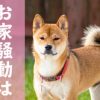 西郷どん第3話「子どもは国の宝」武士と貧困とドロドロな政争と