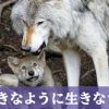 西郷どん第7話「背中の母」家族のために夢を諦めても笑顔で