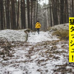 いだてん19話感想「箱根駅伝」もうこれで最終回でいいんじゃない?