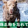 西郷どん第13話「変わらない友」正助の嫉妬と斉彬様の「おやっとさぁ」