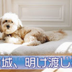 西郷どん第37話「江戸無血開城」新しい時代の幕開け!…の前に波乱