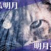直虎14話。徳政令の行方は村人との清風払明月、明月払清風に繋がりました。