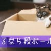 直虎18話。あるいは裏切りと言う名の鶴。戦わずして勝つのが善の善なる者