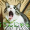 暗記するときに声を出すのは王道だけど、もうちょっと深めてみる