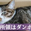 直虎44話「井伊谷のばら」おとわ様ベルばらのオスカル的存在だった説