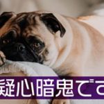 西郷どん第26話「西郷、京へ」ヒー様疑心暗鬼で病んじゃったよオイ