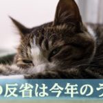 今年の反省は今年のうちに。来年の抱負も今年のうちに。